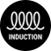 induction induction